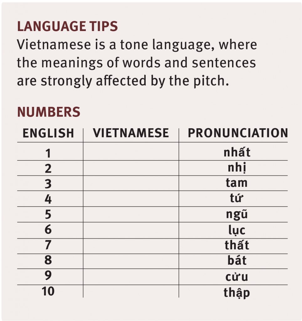 Vietnamese language tips