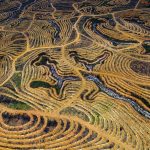 Increasing demand for biofuels is linked to increased deforestation as native habitat is converted to palm oil production. Indonesia (Image © Yann Arthus Bertand)