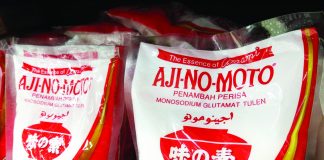 Ajinomoto, Monosodium Glutamate