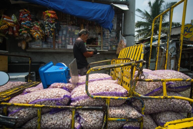 Who Peels Your Garlic: Inside Manila’s Informal Economy