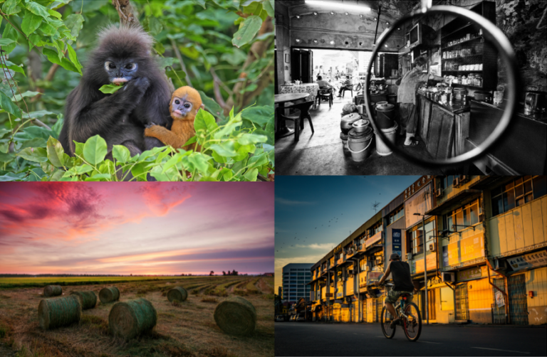 Asian Geographic Images of Asia Monthly Competition October 2021 Winners and Finalists
