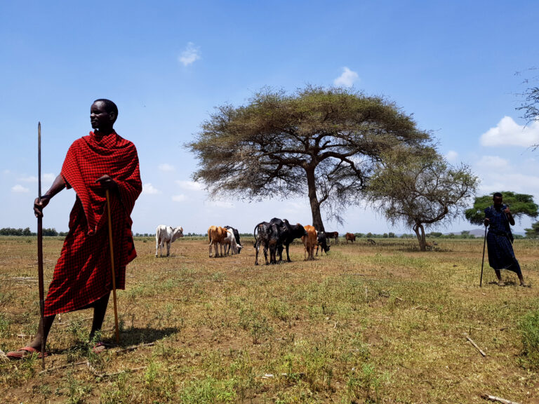 Online Feature: Becoming Maasai