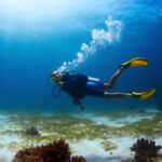 Scuba,Diver,Exploring,Tropical,Dive,Site,And,Finning,Over,Bottom