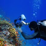 Scuba,Diver,Photographer,And,Coral,Reef,With,Fish.,Diver,Swimming